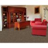 Biblioteca CABINET ALFA